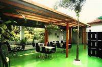 Camelia House 