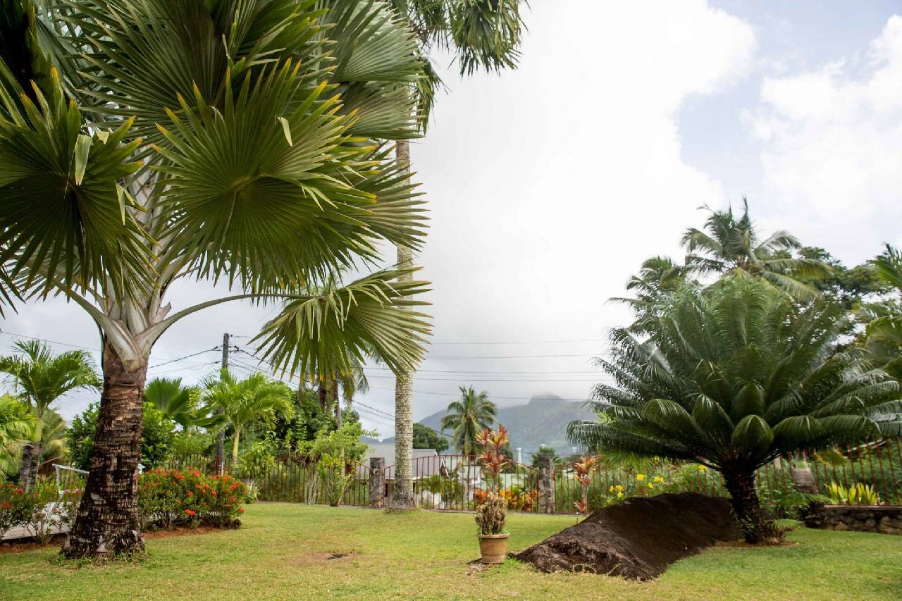 The Orchard Self Catering Villa 