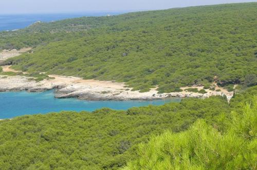 Attico Vicino Gallipoli 