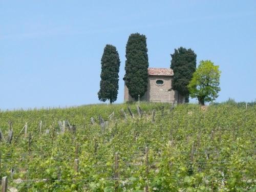 Agriturismo Relais Il Bricco 