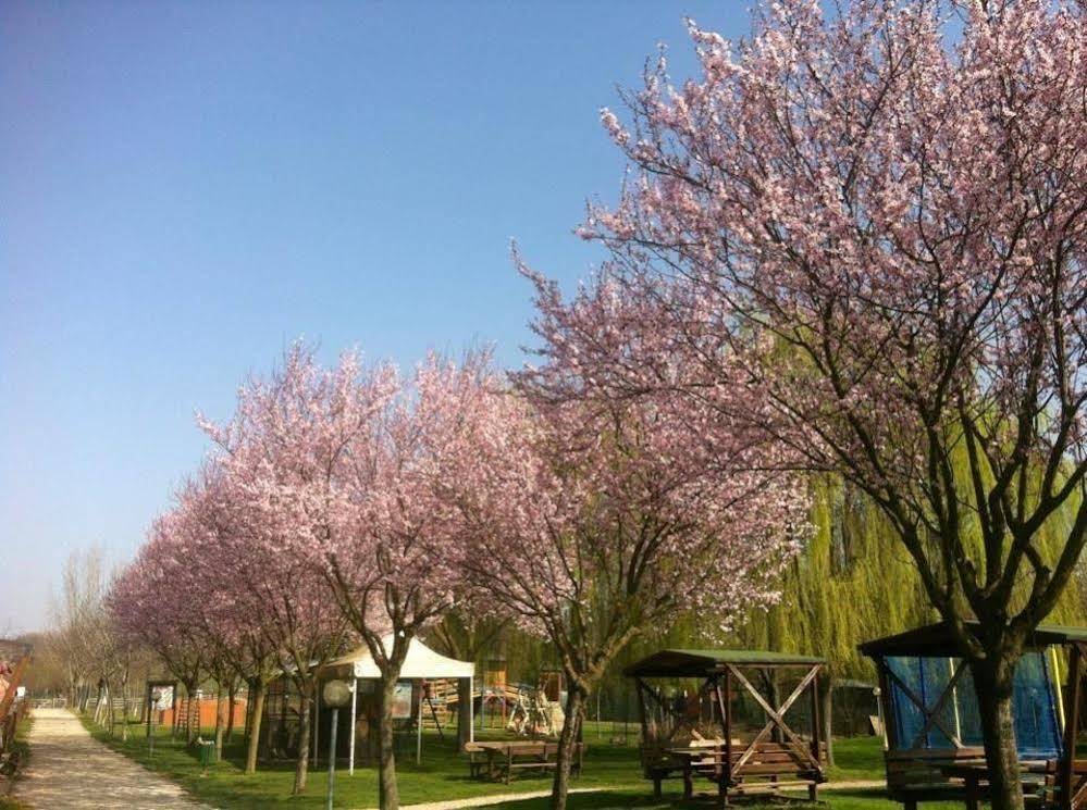 Agriturismo Tre Rondini 