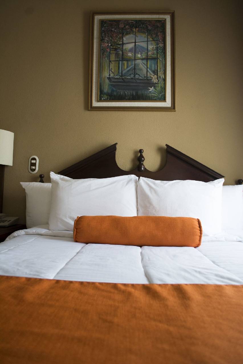 Hotel Royal Palace 