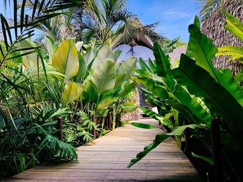 Panorama Beach Club & Resort Adults Only 