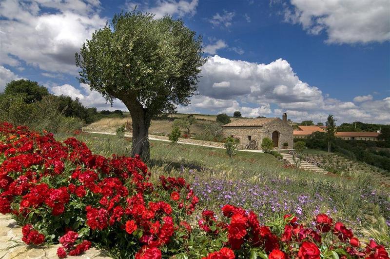 Le Masserie Del Falco General view
