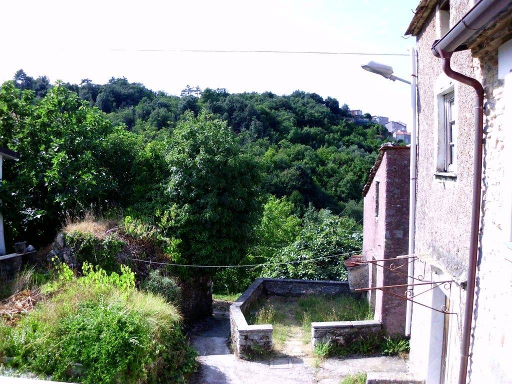 Casa Natale 