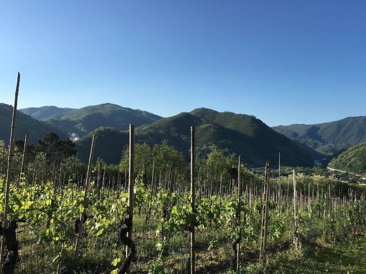 Tenuta La Fratta Apartments 