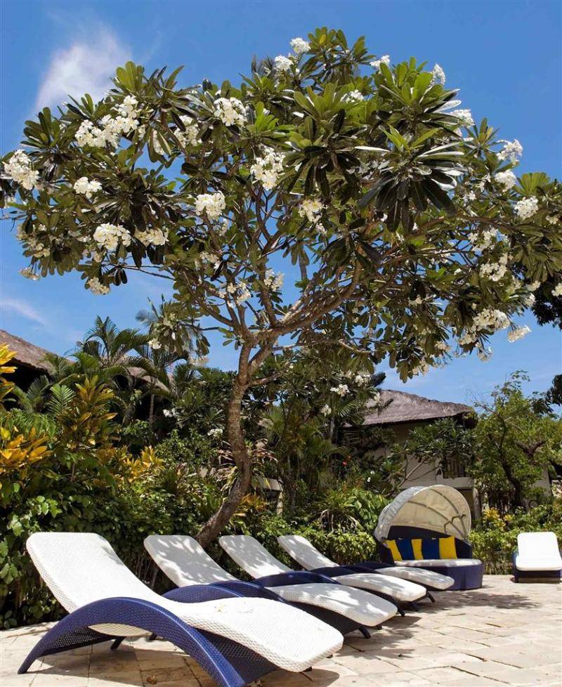 Mercure Resort Sanur General view