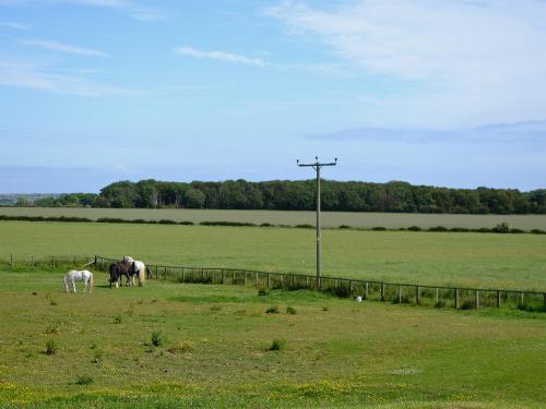 North Farm Retreat 