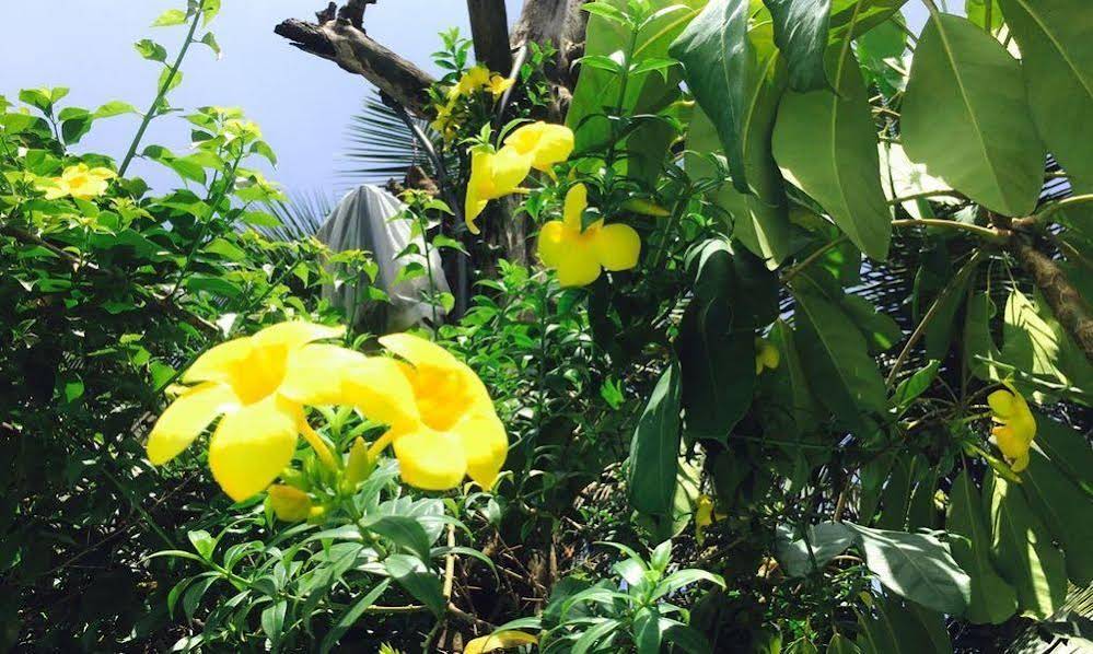 Kyriad Hotel Goa 