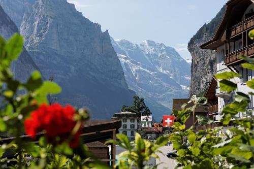 Hotel Steinbock 