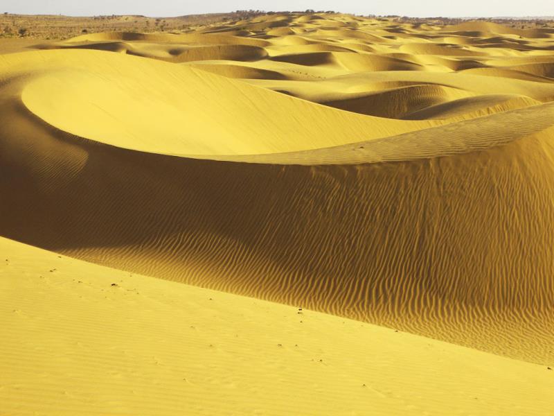 Dynasty Desert Camp 