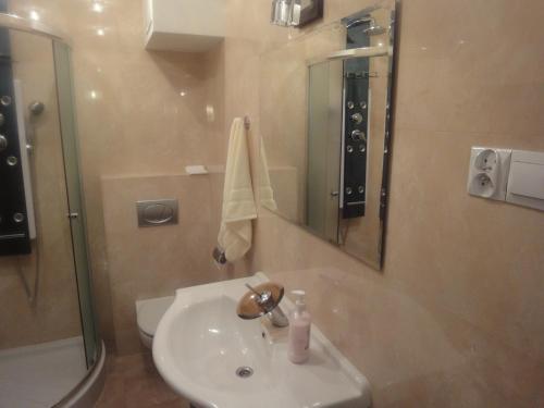Apartament Krysztalowy Hotel Description