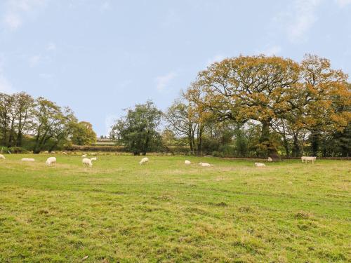Maesyfelin Isaf Apartment Llanybydder 
