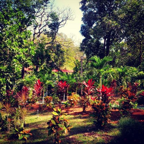 Aguas Termales Salitral 