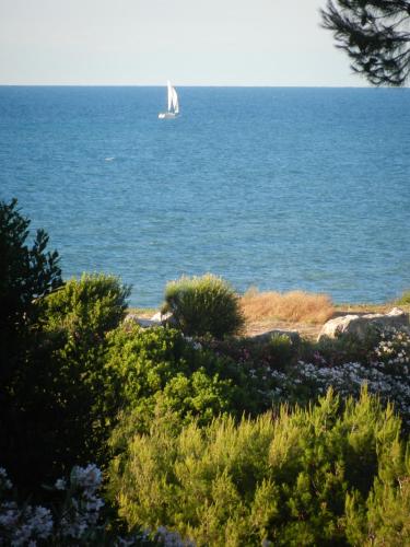 Tenuta Molino Di Mare 
