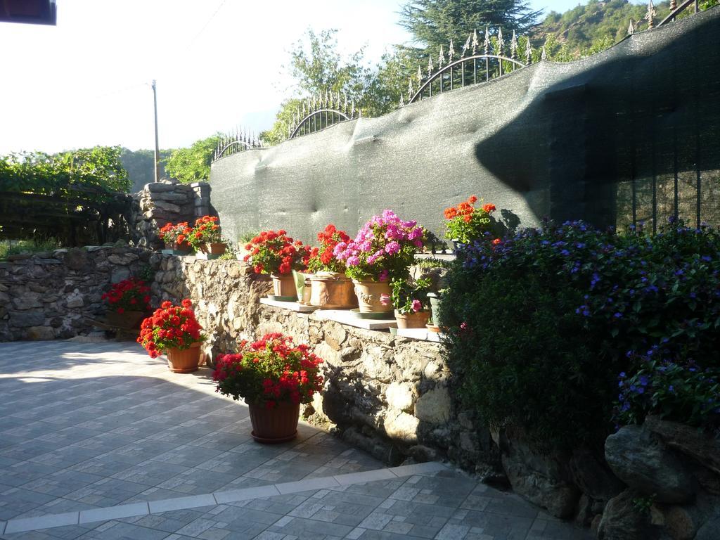 Via Francigena 