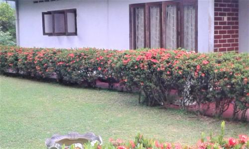 Isuruvi Homestay Piliyandala 