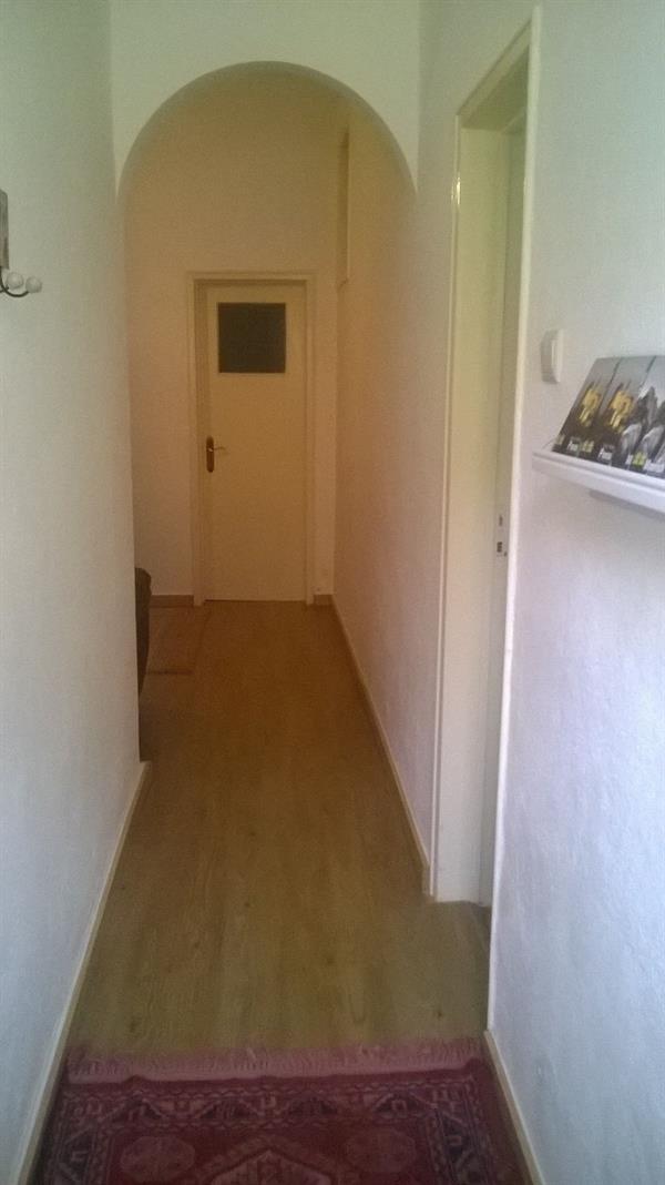 Cats House 