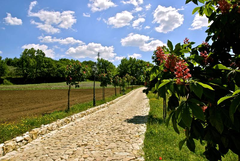 La Pampa Relais General view