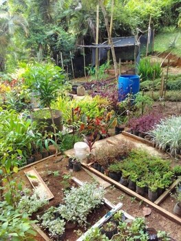 The Station Seychelles Garden