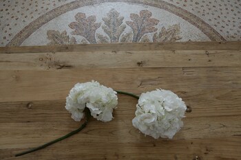 B&b Terra Mar Property Amenity