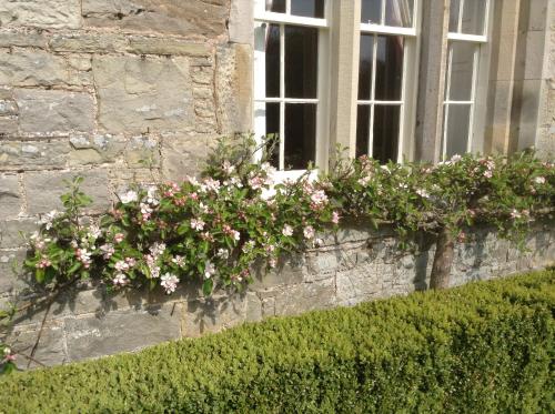 Hundalee House Bed And Breakfast Main