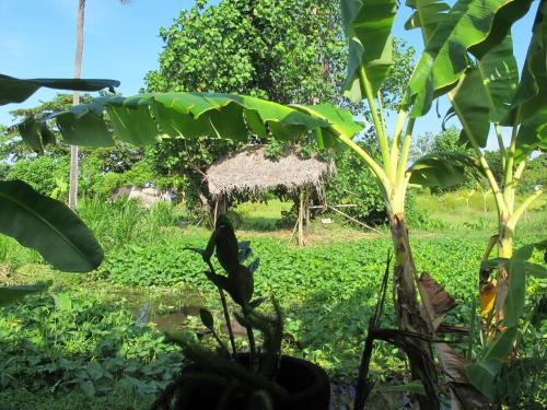 Villa Balistar 