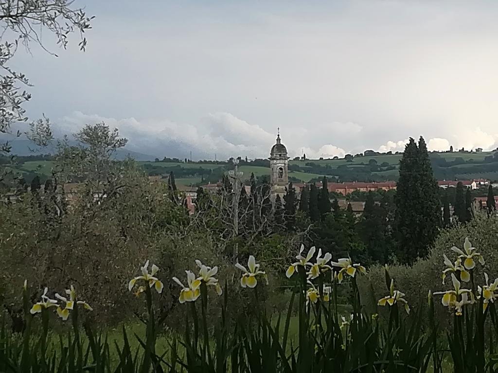Agriturismo Colle Sant'alfredo 
