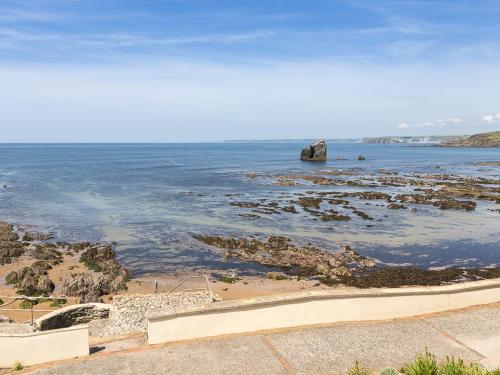 3 Thurlestone Rock Kingsbridge 