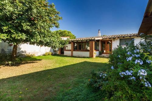 Casa Vacanze Menta Fiorita 