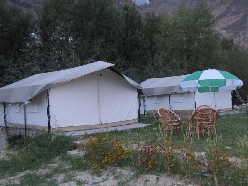 Desert Oasis Camp 