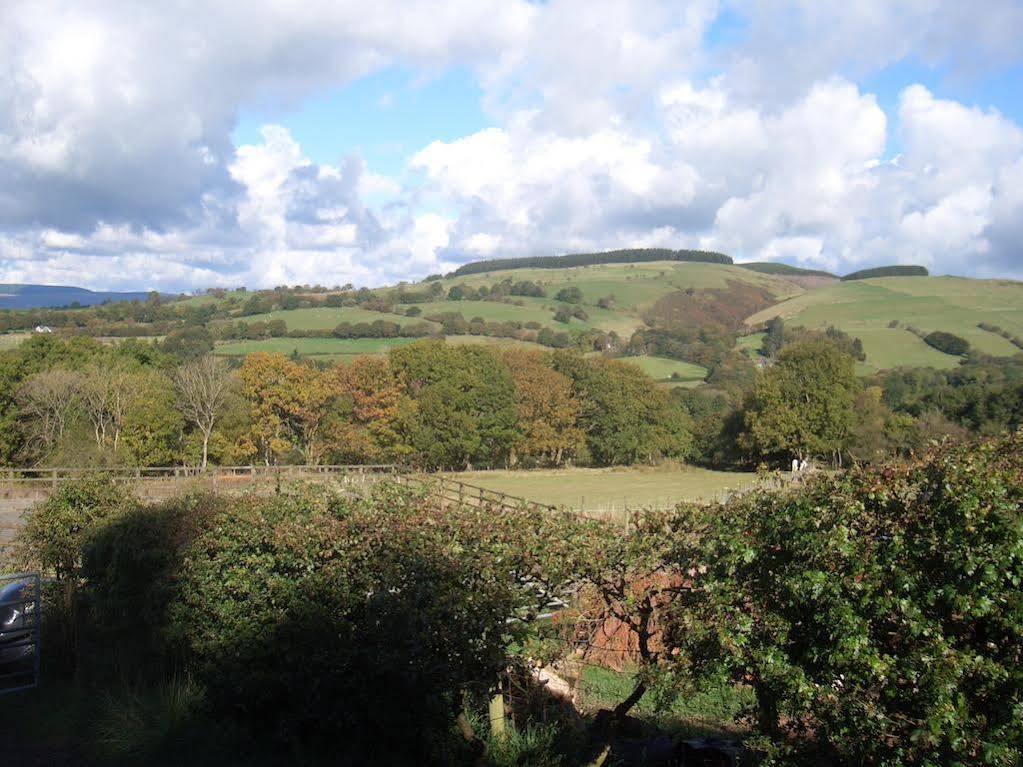 Gwarllwyn 