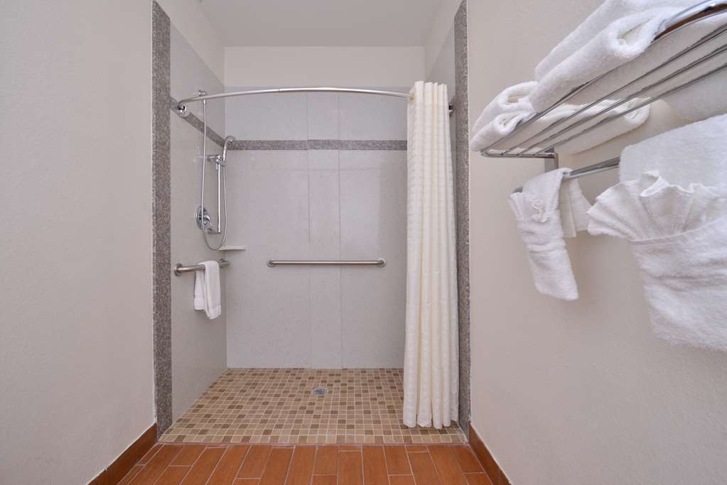 Americas Best Value Inn & Suites Houston Nw Roll in Shower