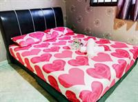 Camelia House 