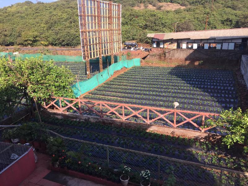 Trupti Cottages Mahabaleshwar 