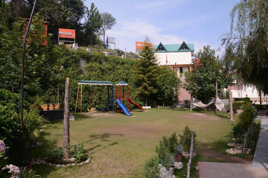 Maple Resort 
