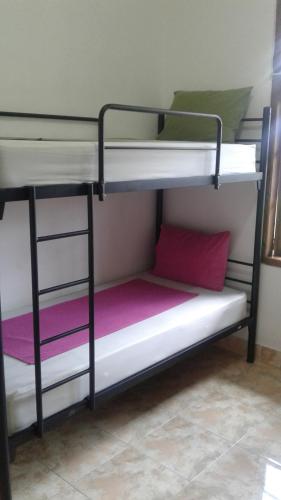 Beachbums Berawa Hostel 
