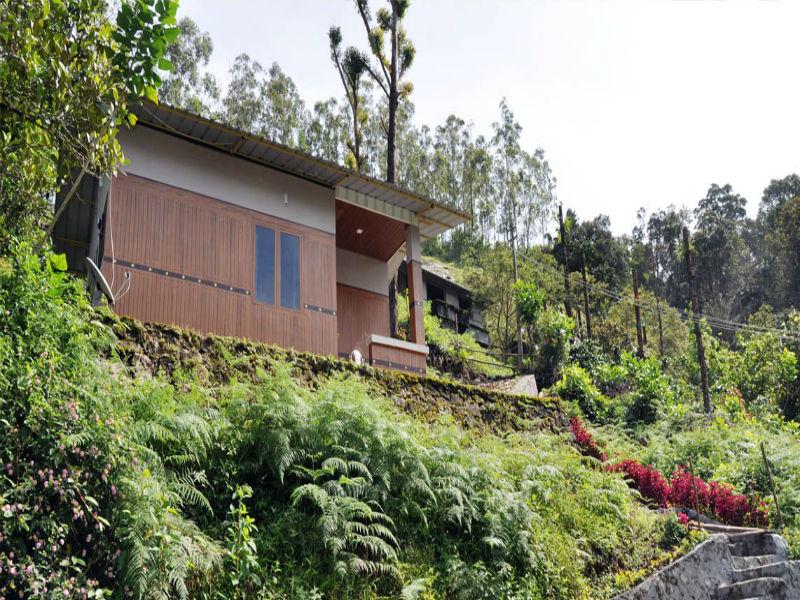 Snowdrops Homestay 