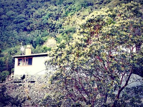Casa La MontaÑa 