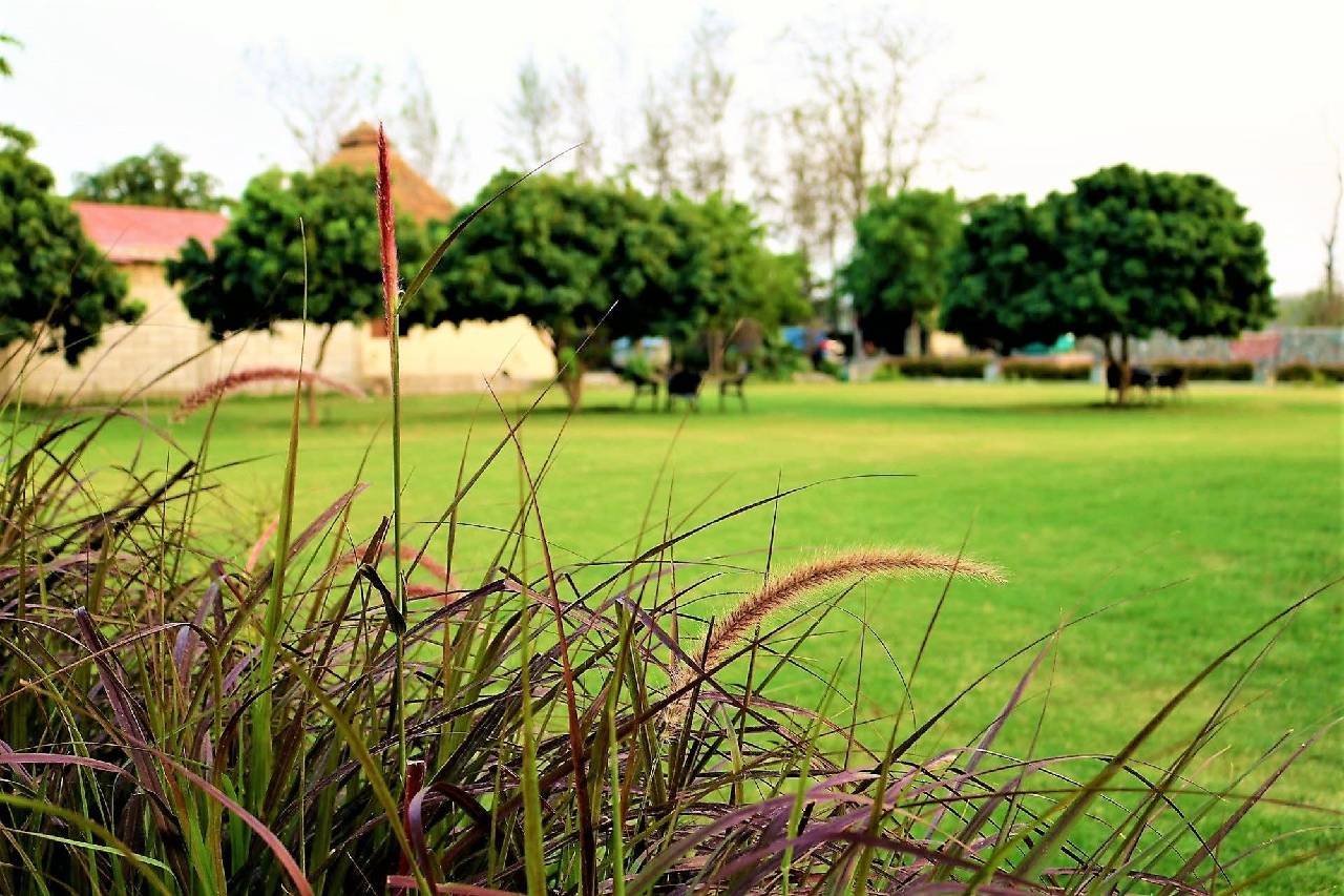 Alaya Resorts & Spa Jim Corbett By Parfait 