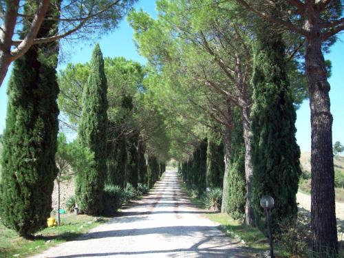 Bed & Breakfast Castello Di Belforte 