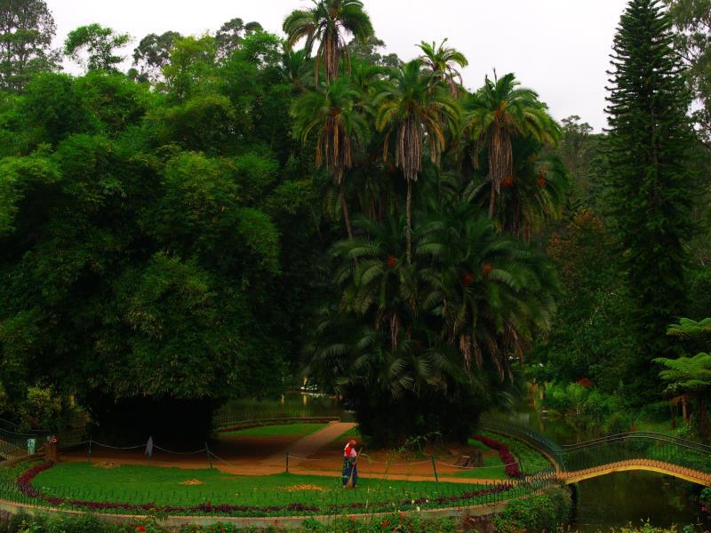 Hotel Blue Hills Coonoor 