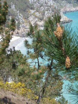 Ty Bihan De L'aber Beach