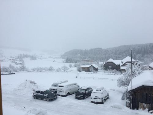 Ferienwohnung Landschitzseen 