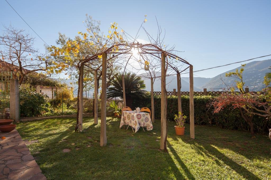 The Turtles Garden 