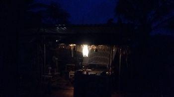 Wonderland Hostel 