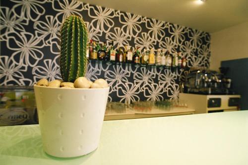 Hotel Perla 