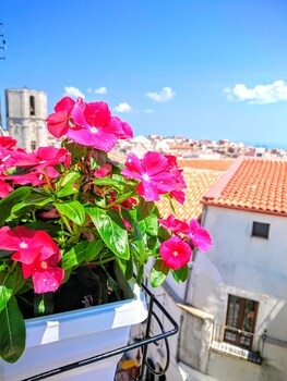 Arciuolo B&b Featured Image