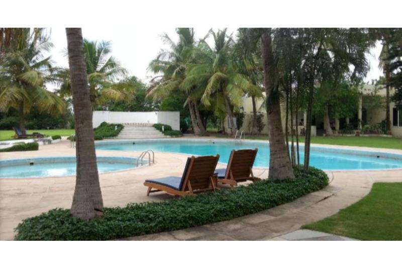 The Meadows Resort And Spa Pool