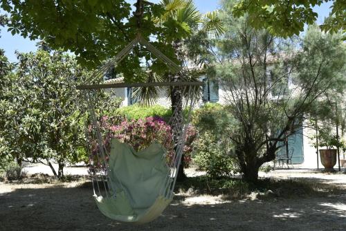 Campagne Paumier 